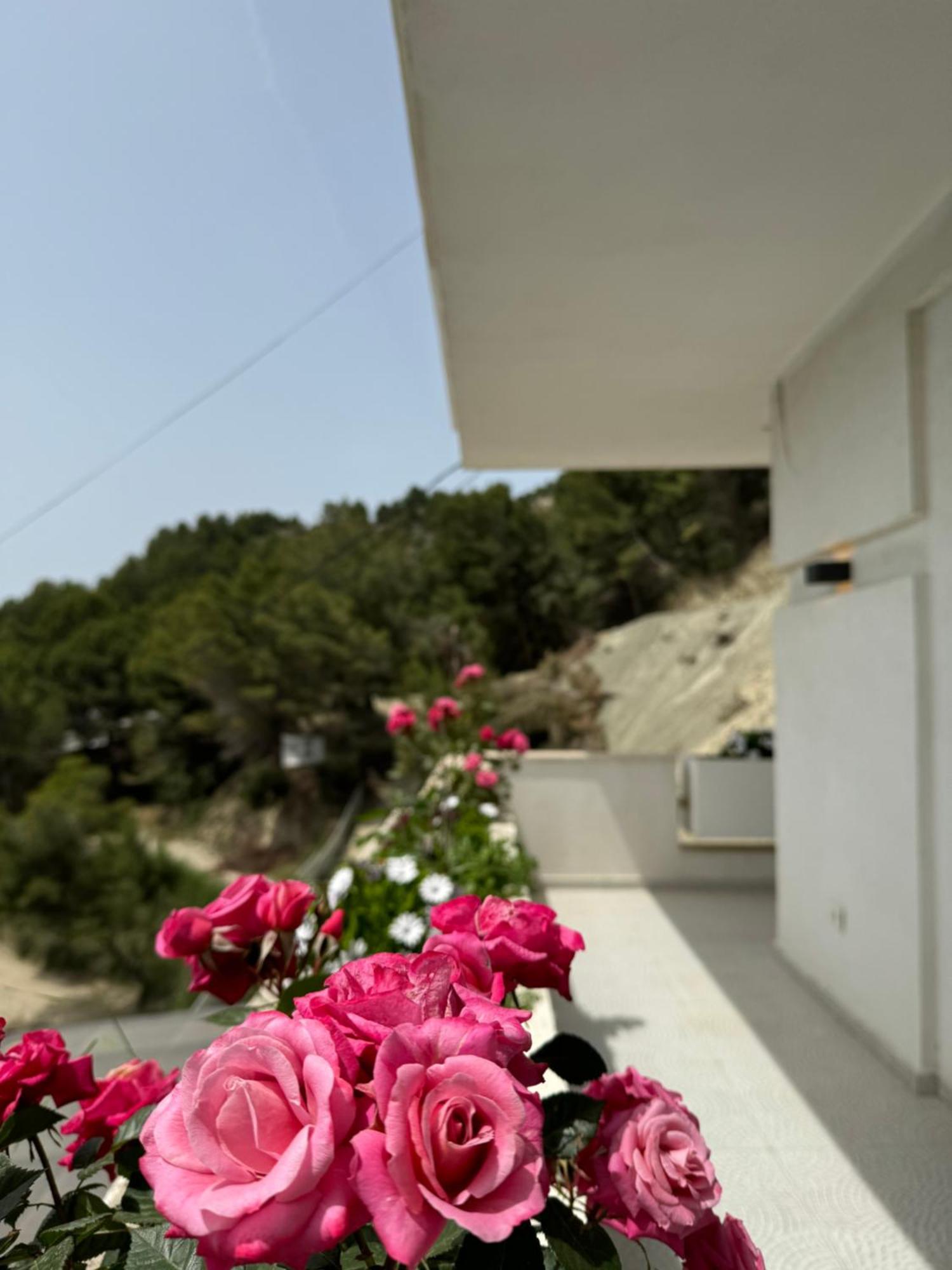 Villa D Hotel-Restaurant-Private Beach Durres Exterior photo
